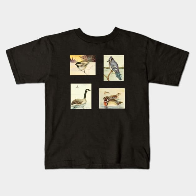 Birds of Canada Pack 2 - Chickadee, Blue Jay, Canada Goose, Wood Duck Kids T-Shirt by softbluehum